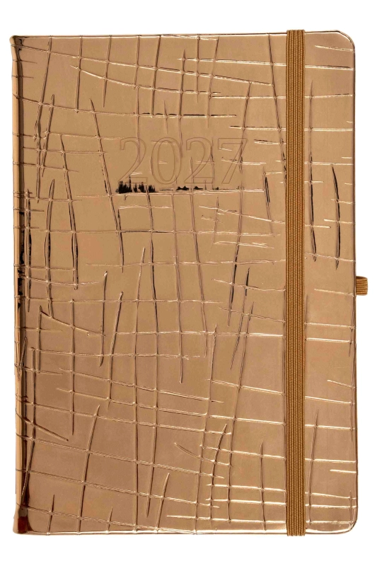 cover:platon
