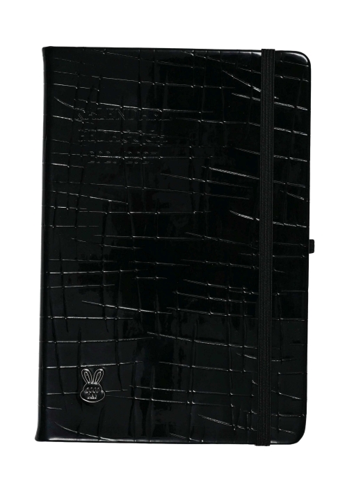 cover:platon