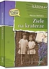 Ziele na kraterze z oprac. GREG